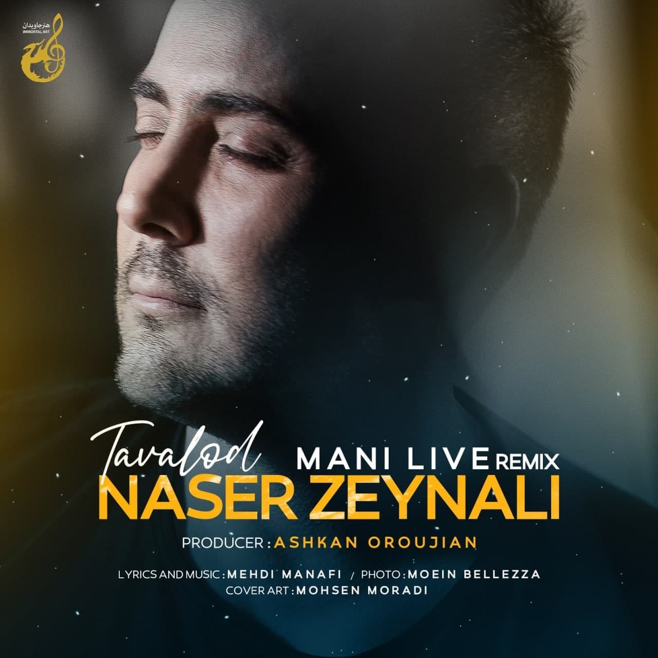 تولد (ریمیکس) - ناصر زینعلی